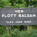 View Plott Balsam / Blue Ridge Parkway - 13 juillet 2010.