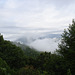 View Ballhoot scar (Ravensford) / Blue Ridge Parkway - July 13th 2010.