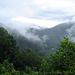 View Ballhoot scar (Ravensford) / Blue Ridge Parkway - July 13th 2010.