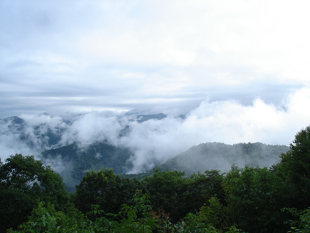 View Ballhoot scar (Ravensford) / Blue Ridge Parkway - July 13th 2010.