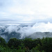 View Ballhoot scar (Ravensford) / Blue Ridge Parkway - July 13th 2010.