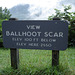 View Ballhoot scar (Ravensford) / Blue Ridge Parkway - July 13th 2010.