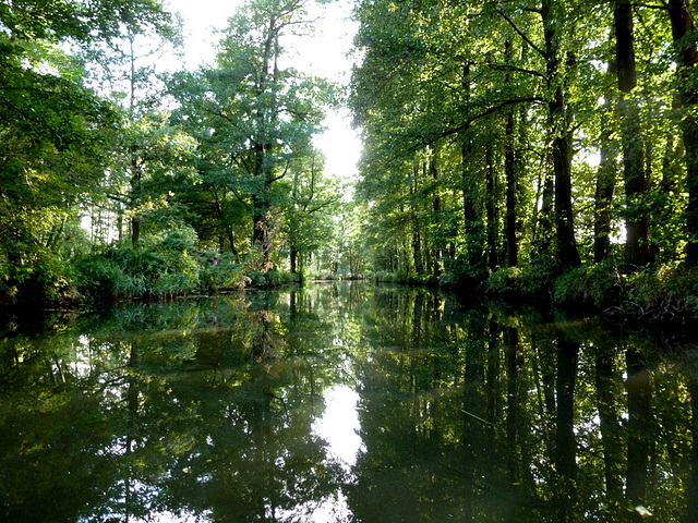 Urlaub im Spreewald - August 2012