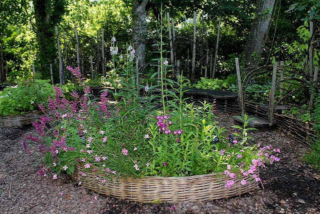 Jardin des enfants (2)