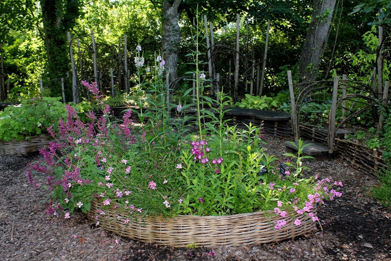 Jardin des enfants (2)