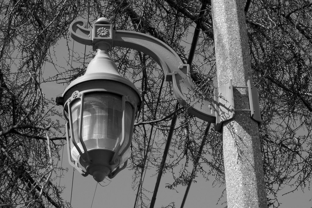 Streetlight on Cesar Chavez Blvd (0729)