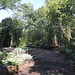 Jardin des enfants-Corridors de bambous - à gauche des oiseaux , à droite des abeilles (2)