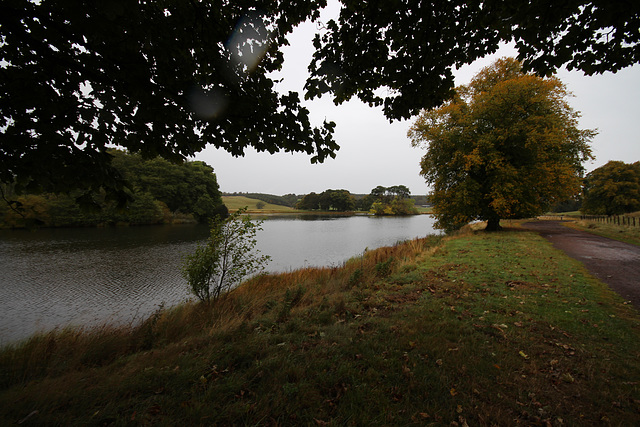 Douglas Castle Estate, Lanarkshire