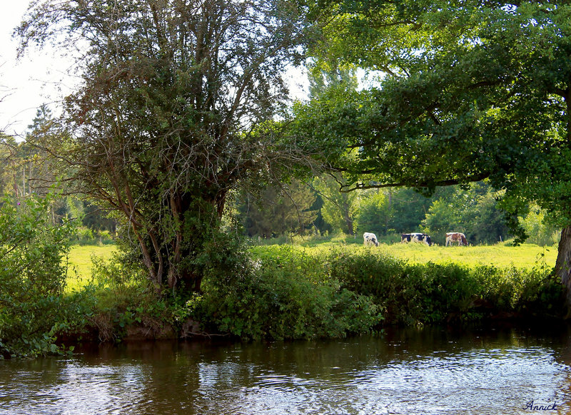 AU BORD DE LA RIVIERE***