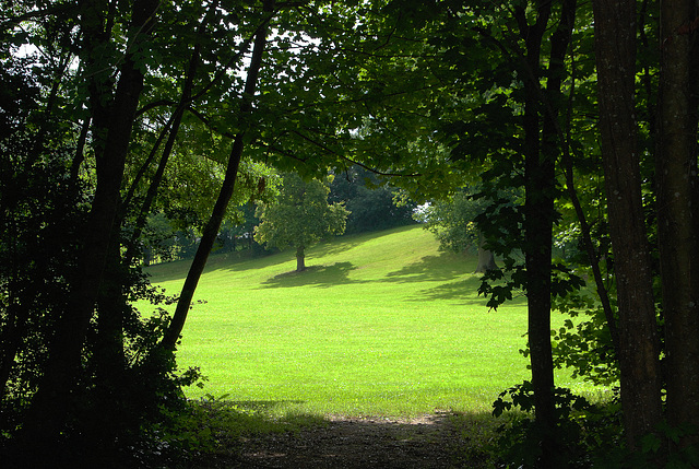 A l'orée du bois