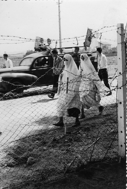 Sidi-Ferruch 1962-07-05 - Route de Staouéli