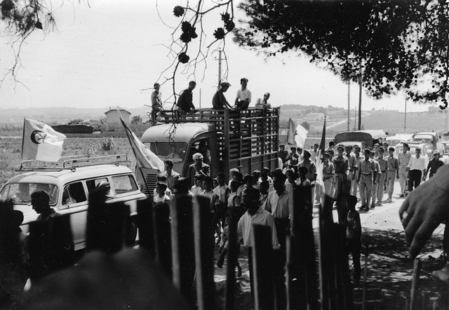 Sidi-Ferruch 1962-07-05 - Route de Staouéli