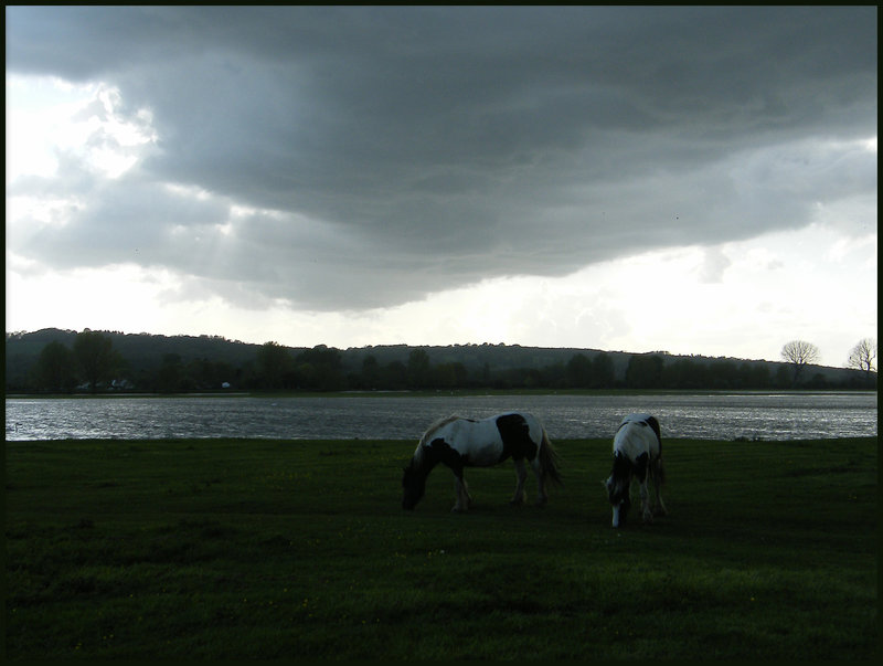 rain cloud