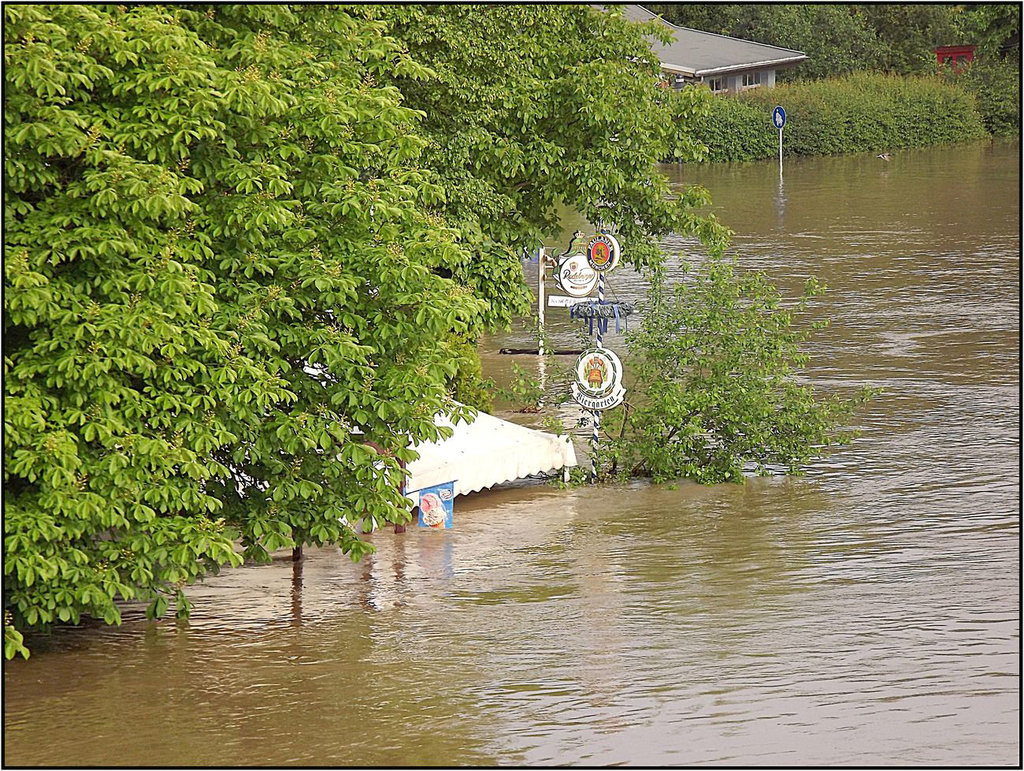 Dresden 04.06.2013, Loschwitzer Brücke 072