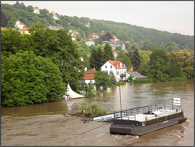 Dresden 04.06.2013, Loschwitzer Brücke 073