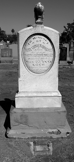 Eleven-year old died in 1881 - Evergreen Cemetery (0734)