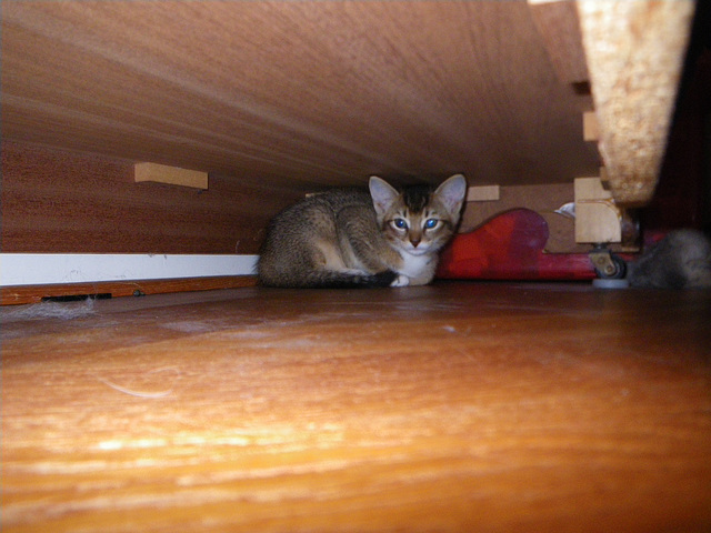 Day 1: Secure under the cabinet