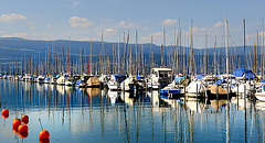 Au port de Chevroux...