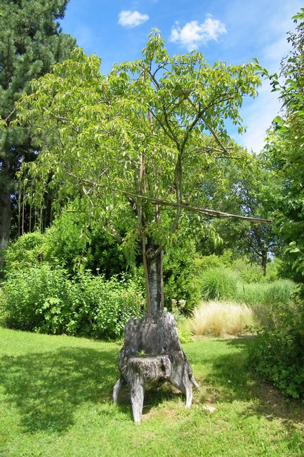 Petit banc tronc arbre