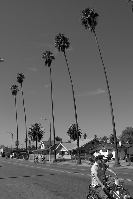 Cesar Chavez Blvd (0723)