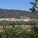 20120515 9900RAw [E] Herguijuela