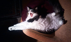 LA LA LA LA LA LAAAAAAAAAA