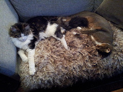 Must be all that fresh country air