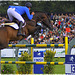 Jumping Chantilly