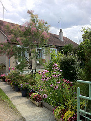 Jardin devant