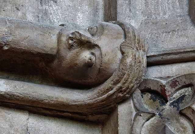 bristol cathedral