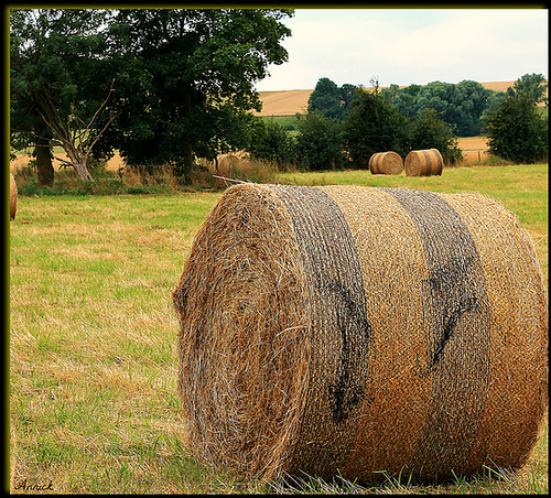 BALLOT DE PAILLE*** BALLOT DE PAILLE***