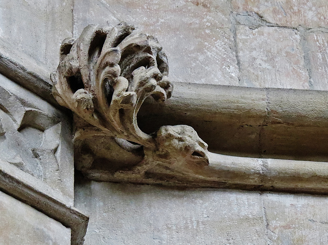 bristol cathedral