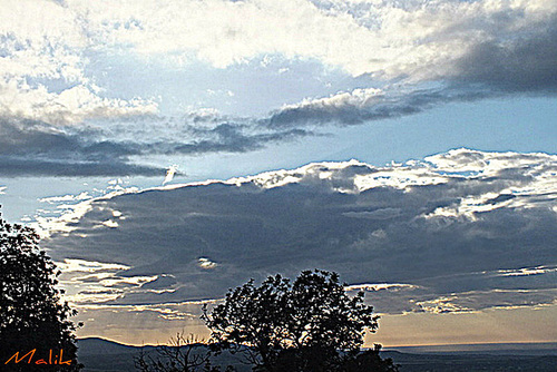 DSCF0879