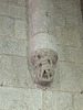 IMG 0219
