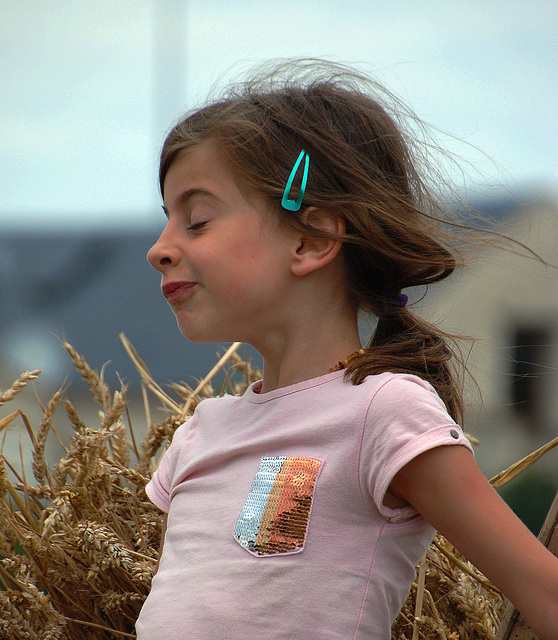 La barrette bleue