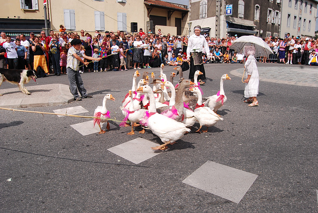 Défilé à Saint Girons