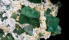 Fluorite octaédrique- Orange River -RSA (6)