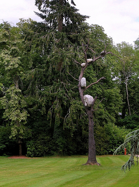 Arbre-chemin - Giuseppe Penone