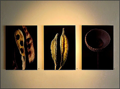 Sinsteden, Landwirtschaftsmuseum  012