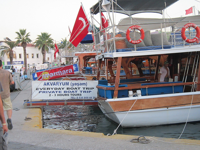 Some day trip boats in Bodrum harbour