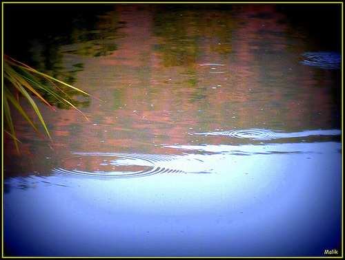 Ondulations..