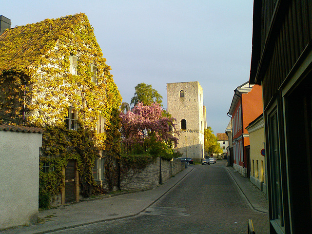 Gotland - Visby May 2008