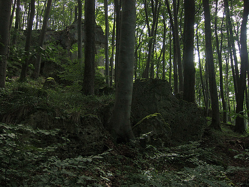 Zerklüftete Dolomitklippen des Ith  im Buchenwald bei der  Rothesteinhöhle