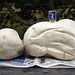 Jätteröksvamp / Gigant Puffball