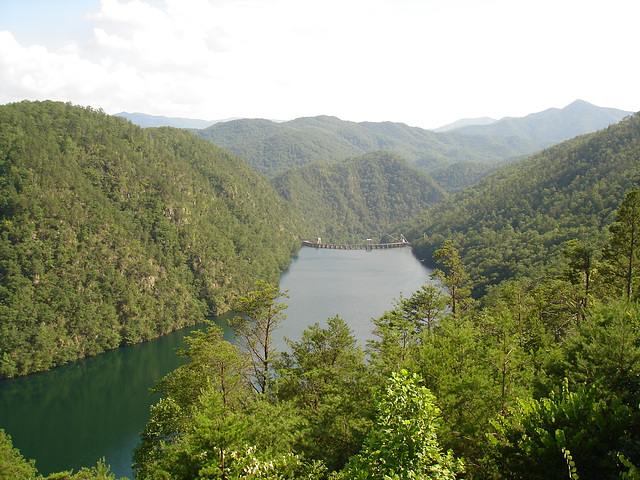 Paysage du Tennessee's landscape