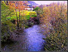 Elgorriaga (Navarra): río Ezkurra.