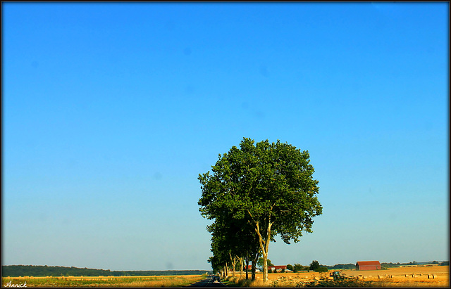 SUR LA ROUTE DE NORMANDIE ***