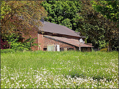 Rommerskirchen, Gillbachaue 011