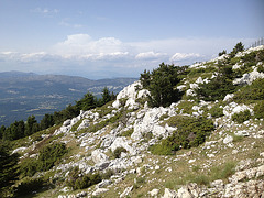 IMG 0089 IMG 0089