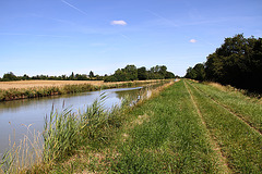 Canal latéral à la Loire